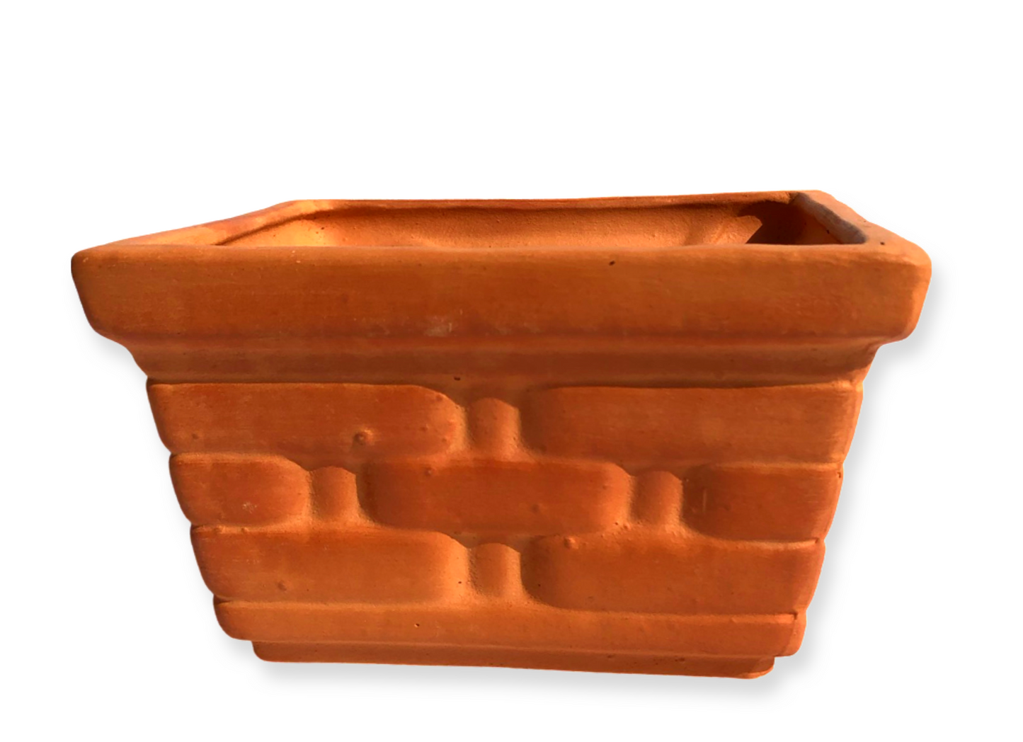 Fabiola Pot
