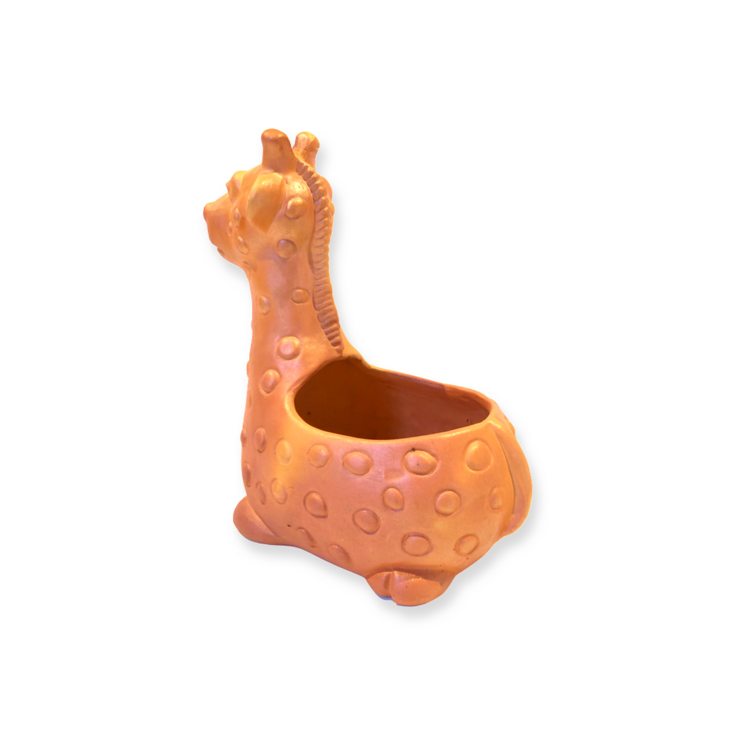 Consuelo Pot