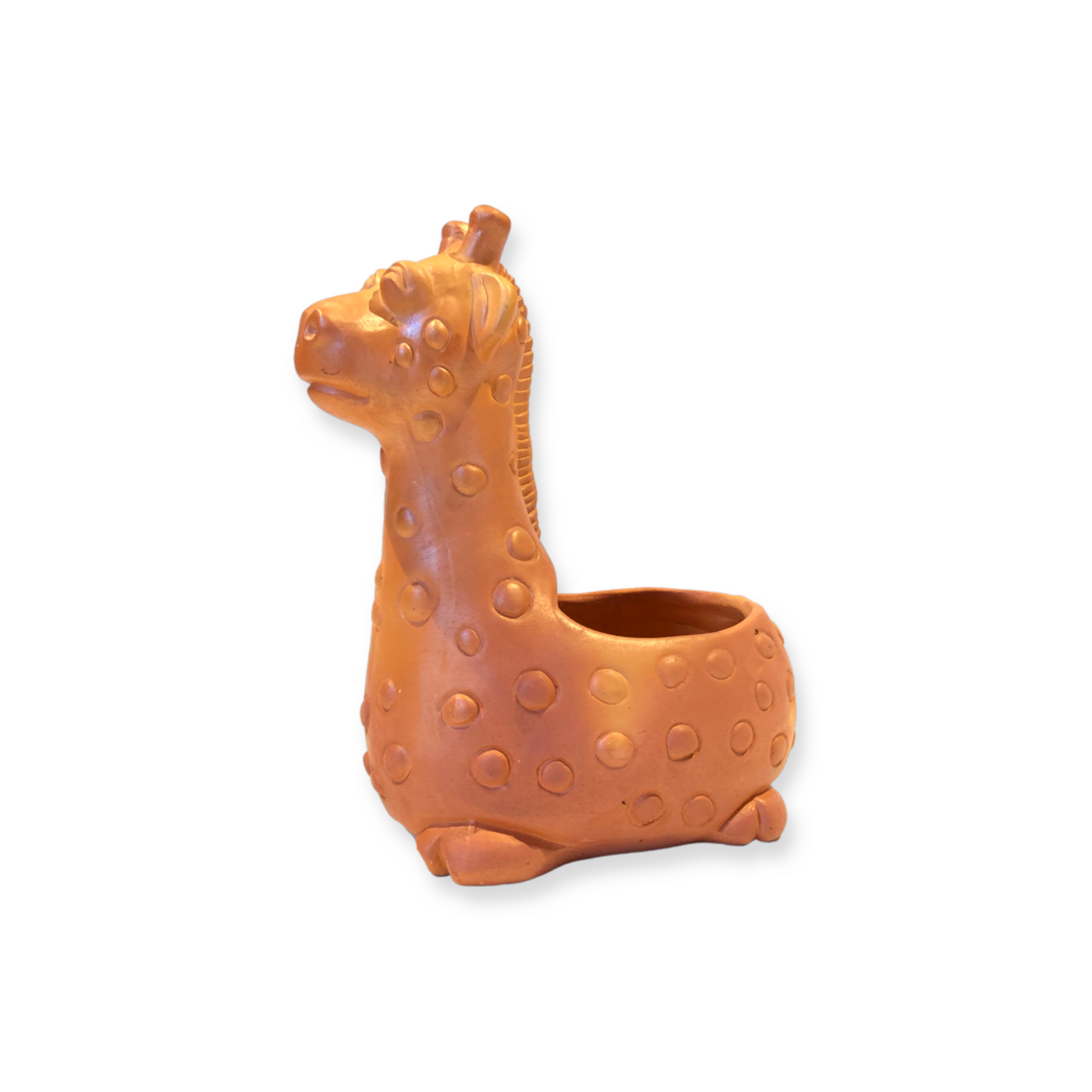 Consuelo Pot