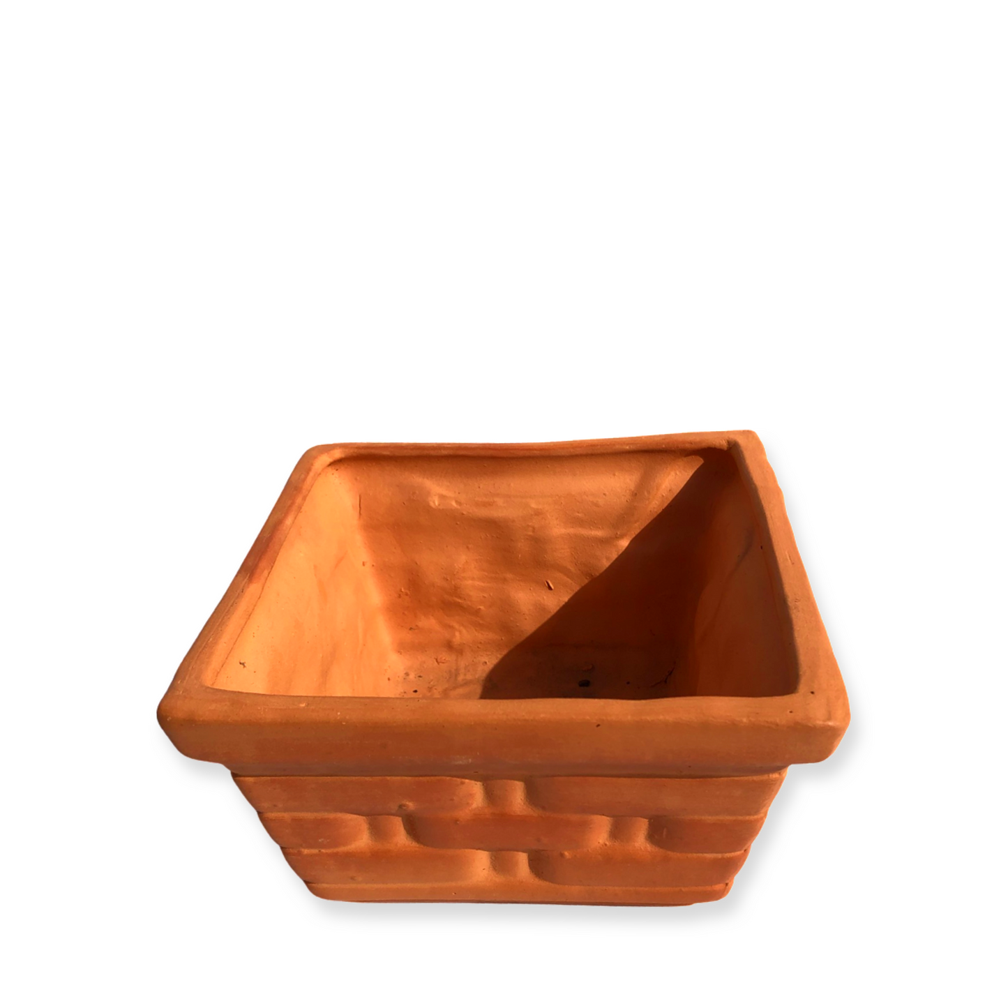 Fabiola Pot