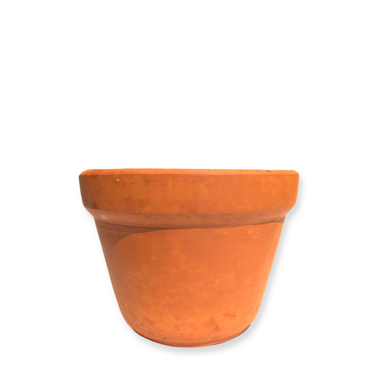 Sandra Pot