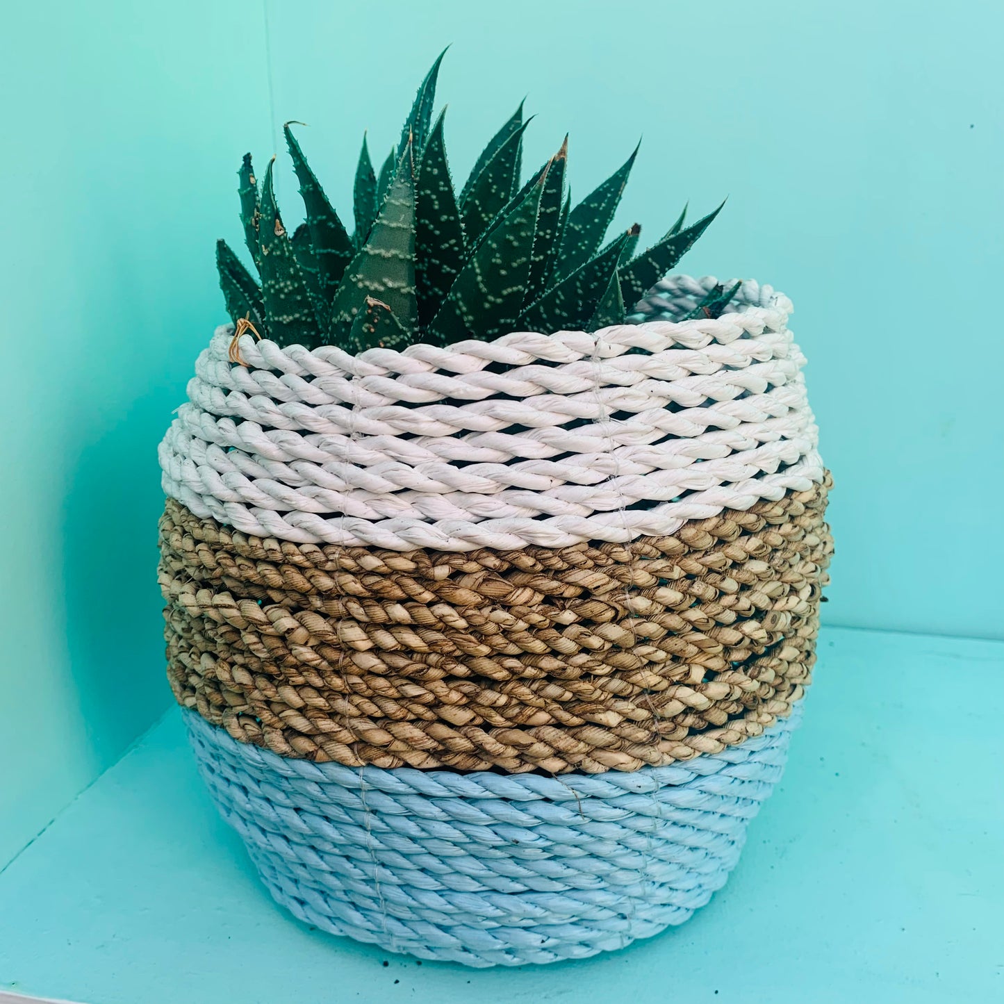 Basket straw colors