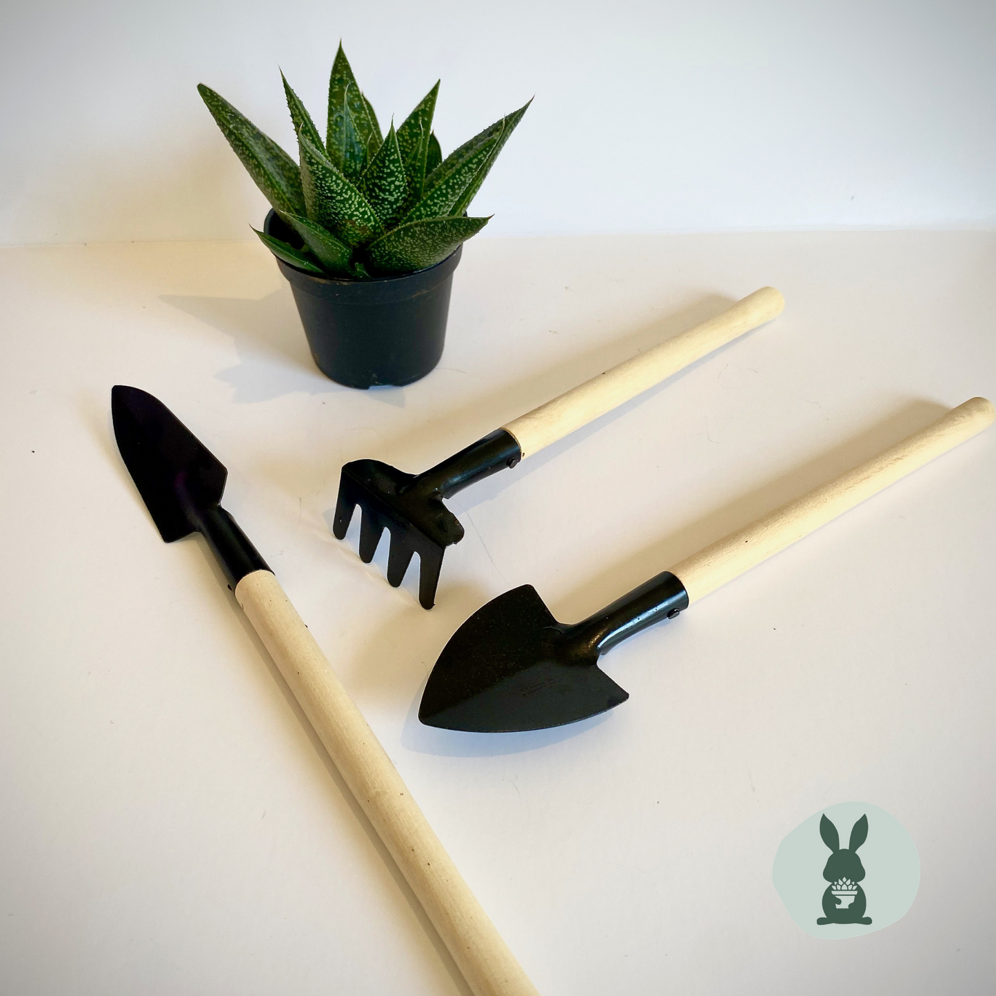 The Green Bunny - Succulent Care Repotting tools (x 3 pieces)