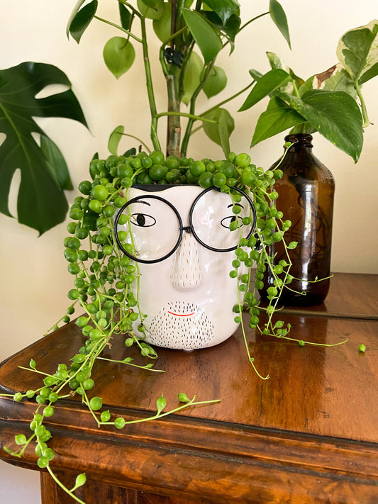 The Green Bunny -  Face Planters