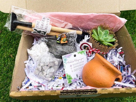 Gift box - Handcrafted terracotta pot & plant