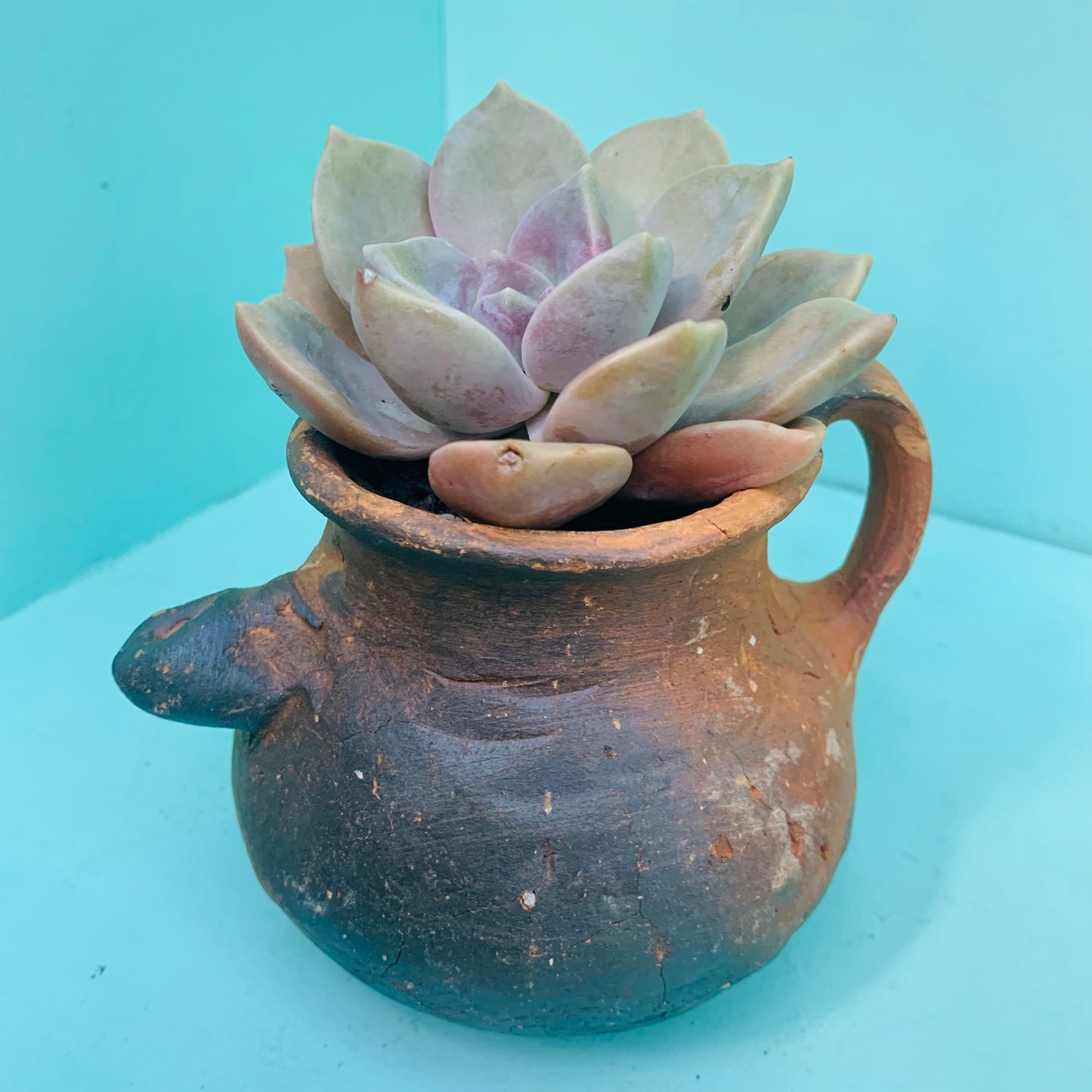 Small Terracotta jar pot