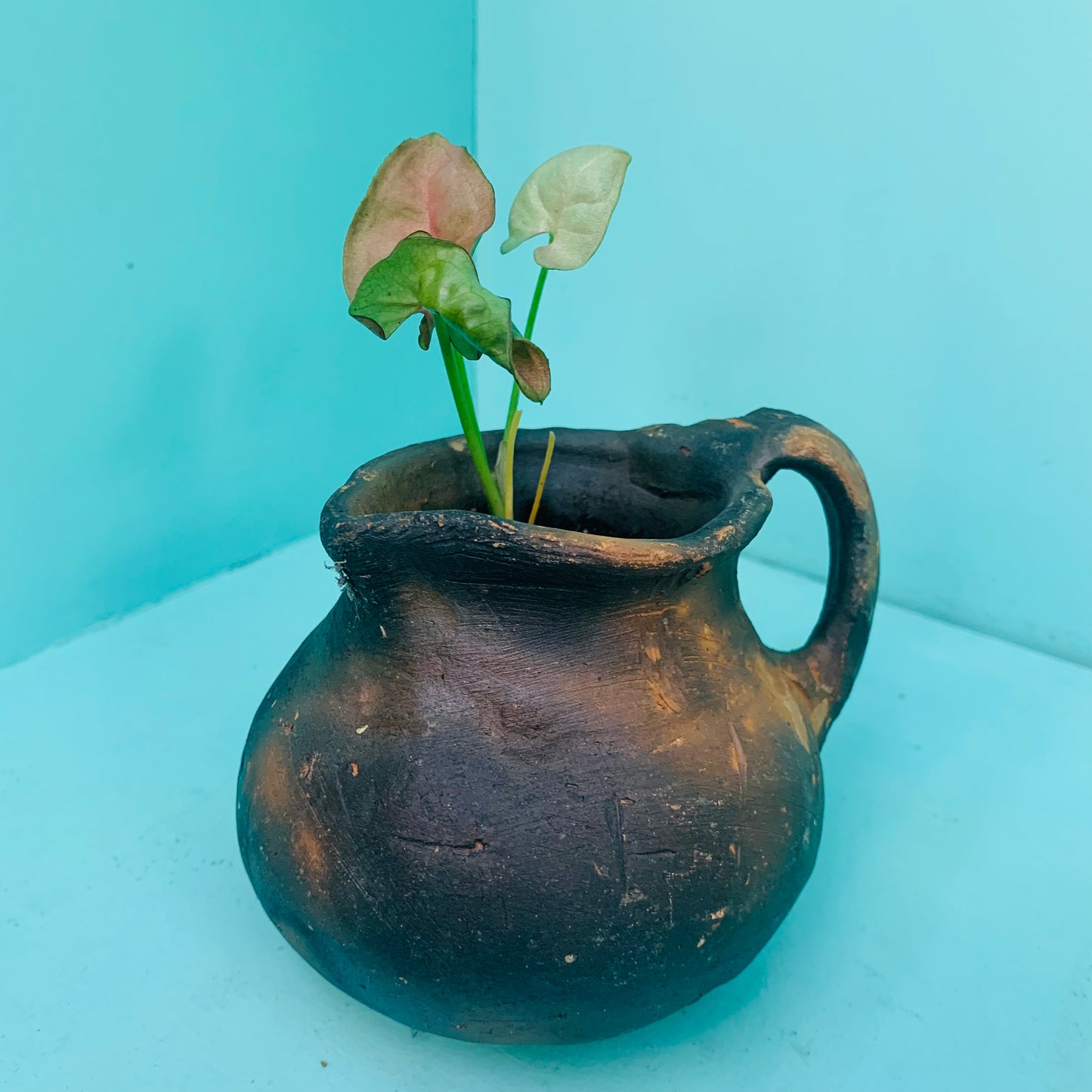 Small Terracotta jar pot