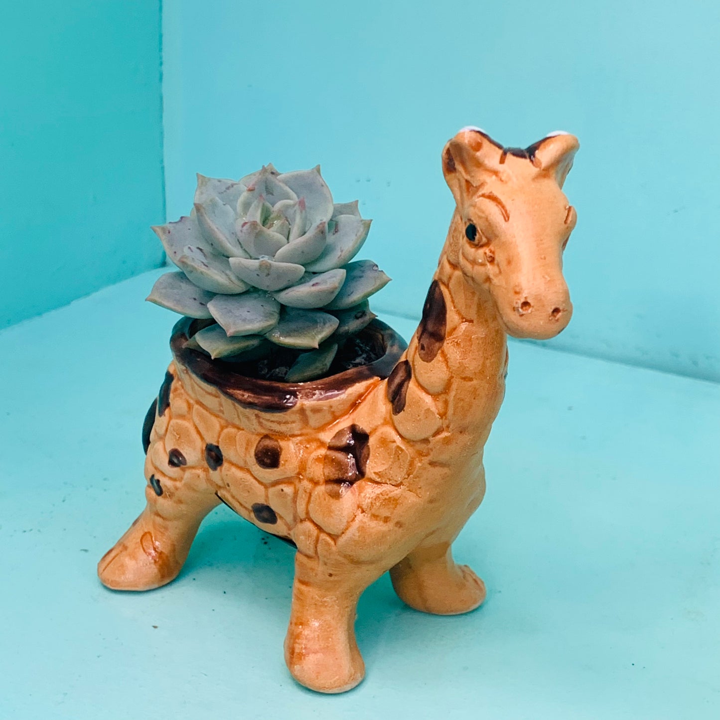 Pot mini glazed animal